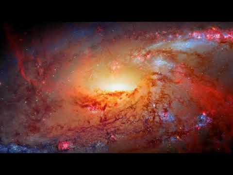 Cosmic Synchronization - Unraveling the Black Hole Galaxy Relationship