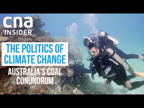 Is Coal Mining Destroying The Great Barrier Reef? | The Politics of Climate Change | Part 1/3