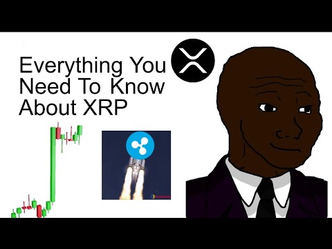 XRP Explained: Everything You Need to Know + Price Prediction for 2025!