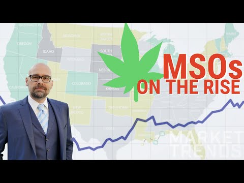 The Cannabis Industry in 2020: MSOs On The Rise