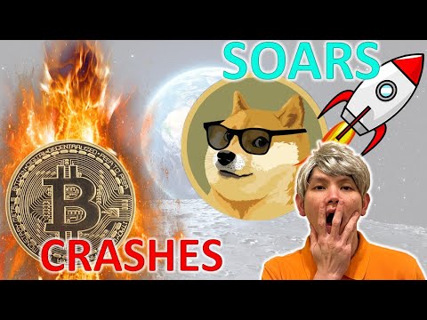 DOGECOIN soars to the moon, will it end? Why did Bitcoin crash?