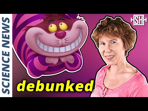 Quantum Mystery Resolved: The Cheshire Cat Experiment | Science News